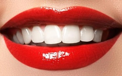 战寒爵和洛诗涵免费阅读